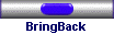 BringBack